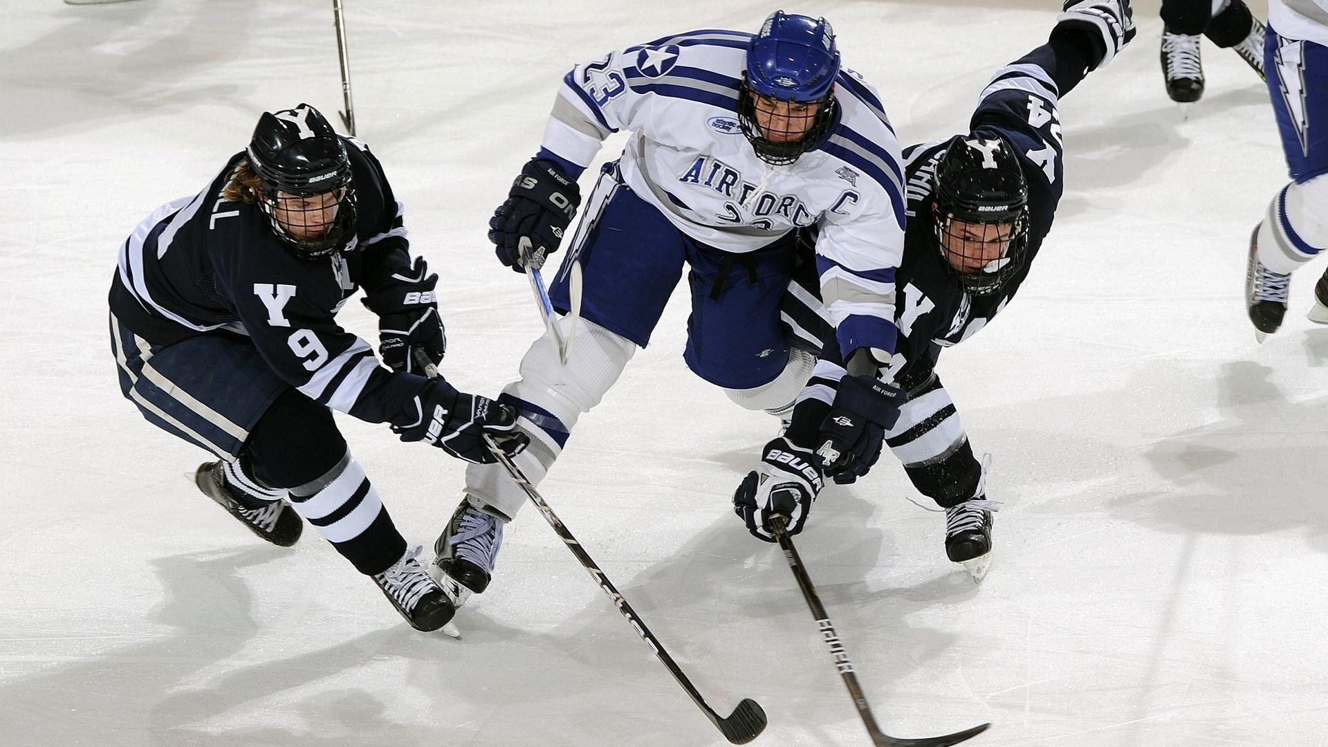 体育新闻中心记录本地体育成长故事,体育新闻分享